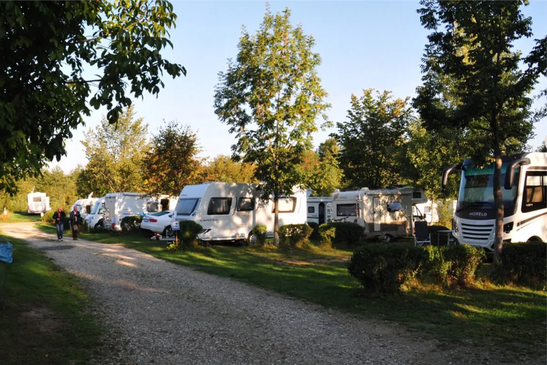 Vampire Camping Bran